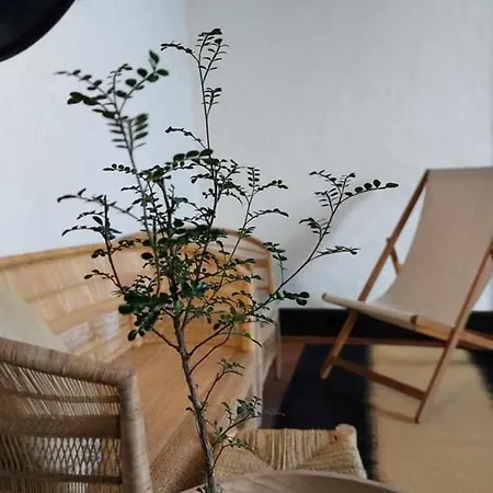 Casa Yooj Designers House In טגיסי