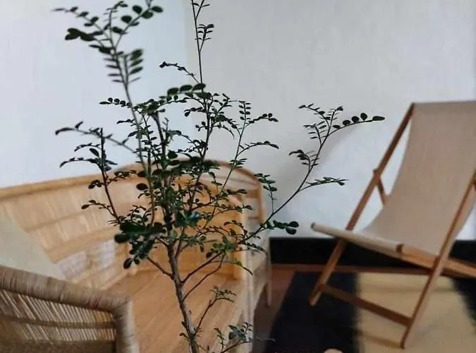 Casa Yooj Designers House In Teguise (Lanzarote)